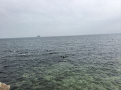 -养马岛旅游度假区