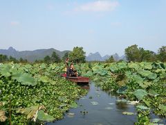 -会仙湿地