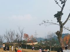 -重庆平顶山公园