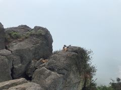 -大姆山草场