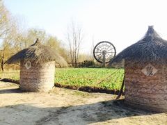 iphone_upload_pic-溱湖国家湿地公园