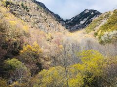 -叠溪松坪沟景区