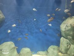 -福州罗源湾海洋世界旅游区