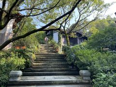 -中国茶叶博物馆(双峰馆区)