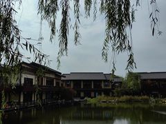 -诗经里
