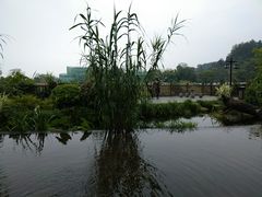 -万景饭店·鱼街农家菜