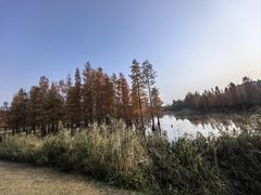 -白鹭湾湿地公园