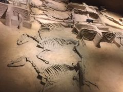 -洛阳周王城天子驾六博物馆