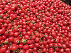 -物美大卖场(玉蜓桥店)