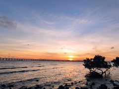 -宝安西湾红树林湿地公园