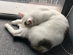 -青沐画室·专业美术培训