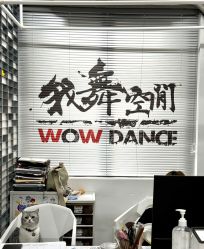 -wow舞蹈培训