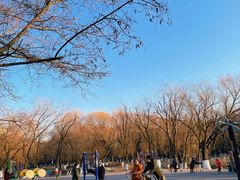 -满都海公园