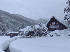 -白川乡与五箇山的合掌构造村落