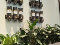 -Peet's 皮爷咖啡(乐峰店)