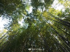 -河南省黄河迎宾馆