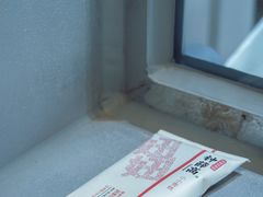 -钟薛高(南头古城店)