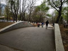 -长白岛森林公园