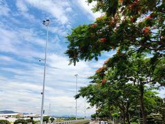 -鼓浪屿内厝澳码头(轮渡站)