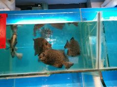 -海大大蒸汽海鲜餐厅·粤菜·特色小炒(欢乐颂店)