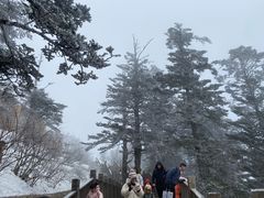 -西岭雪山大飞水景区