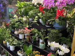 -怡花宜木鲜花店(朝阳路店)