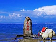-青海湖国家重点风景名胜区