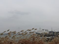 -龙猫意杯花园餐厅(芙蓉湖店)