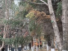 -长春世界雕塑园冰雪艺术天地