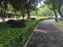 -汉江湾体育公园