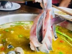 -鲜椒鱼·雅安地标性美食