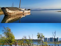 -洱海月湿地公园