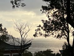 -随园餐厅自助早餐(祥生大酒店)