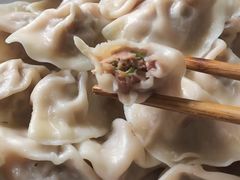 -白记饺子馆多伦道店