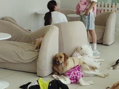 -怪兽屋·羊驼·猫咖·狗咖(俊华广场店)