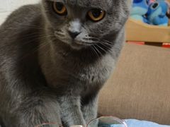 -OYEA欧野眼镜(武商MALL·众圆店)