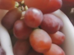 -马陆小张葡萄园农家乐