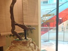 -静耳元気采耳·按摩·SPA(万象前海店)