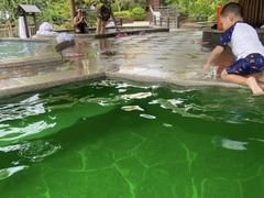 -熹乐谷温泉度假区