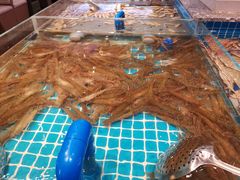 -一方渔歌蒸汽海鲜自助(文化路万达广场店)