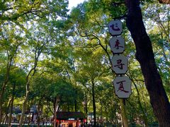 -灵隐飞来峰景区