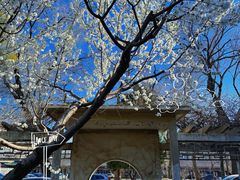 -国家图书馆·古籍馆