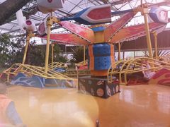 -南宫五洲植物乐园