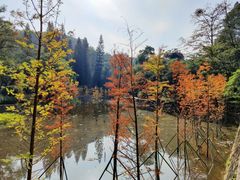 -广州市白云山风景名胜区