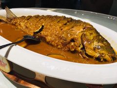 -阿五黄河大鲤鱼(纬三路店)