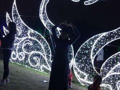-秀丽东方