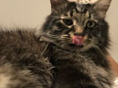 -北门涮肉·炭火铜锅涮肉(什刹海店)