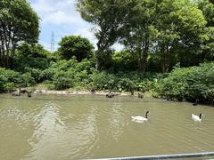 -广州长隆飞鸟乐园