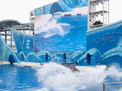 -上海海昌海洋公园