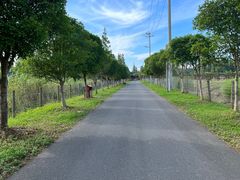 -上海长兴岛郊野公园